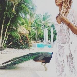 Foto de Kees von kees